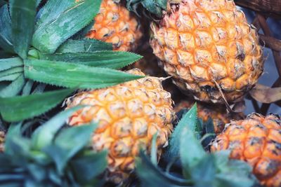 Full frame close-up of ripe pineapples