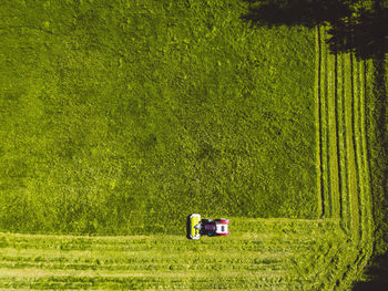 Scenic view of agricultural field