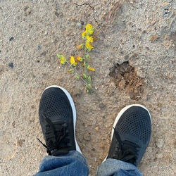 Low section of person standing on ground