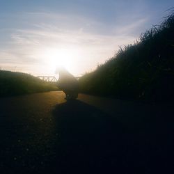 Road at sunset