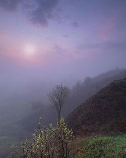 Scenic view of landscape against sky during foggy weather