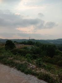 Scenic view of field against sky during sunset