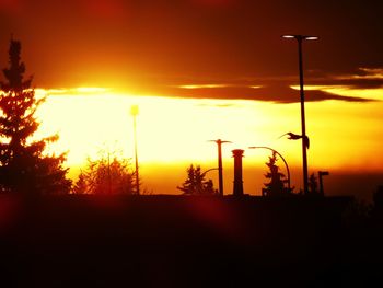 Silhouette trees against sky during sunset