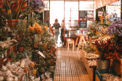 Potted plants at market stall