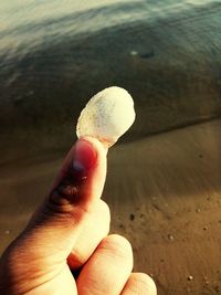 Close-up of person holding hand on beach