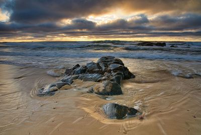 Driftwood on beach against sky during sunset