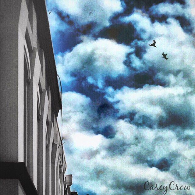 flying, bird, low angle view, animal themes, sky, cloud - sky, animals in the wild, wildlife, building exterior, architecture, cloudy, built structure, spread wings, mid-air, one animal, cloud, seagull, outdoors, day