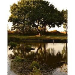 Scenic view of lake at sunset