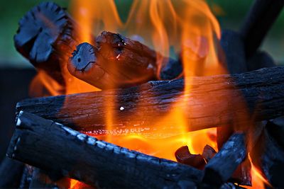 Close-up of fire on wood