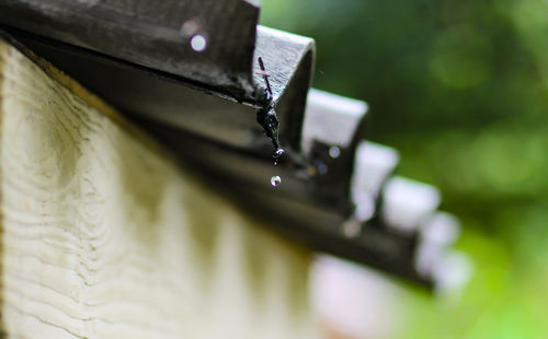 Close-up of water drops on glass