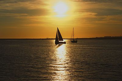 Sailboat sailing in sea at sunset