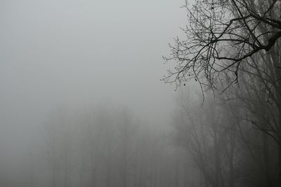 fog