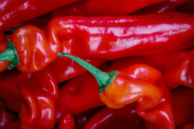 Full frame shot of bell peppers