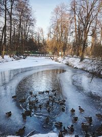 Scenic view of frozen lake against sky