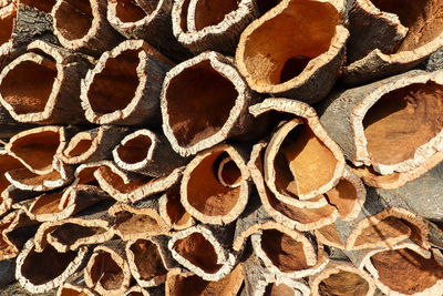 Harvested cork oak bark from the trunk of cork oak tree, quercus suber, alentejo region, portugal