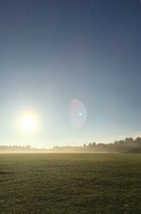 Scenic view of field against clear sky during sunset