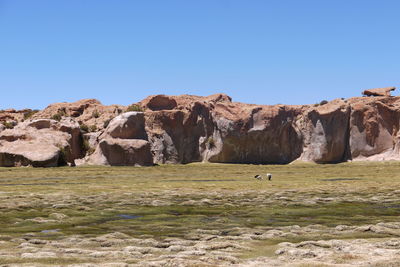 Rock formations on grassy landscape against clear blue sky