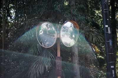 Close-up of water drops on tree