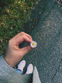 Low section of woman holding flower while standing on street