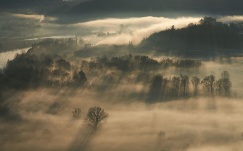 Scenic view of trees against sky during sunsunrise 