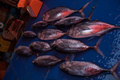 High angle view of fish for sale in market