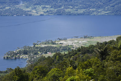 High angle view of trees by sea