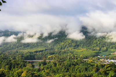 High angle view of trees on landscape against sky