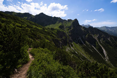 environment