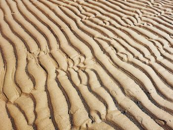 Sand ripples