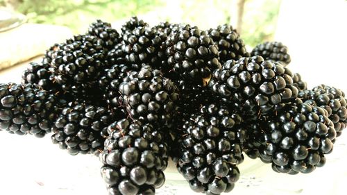 Close-up of fruits