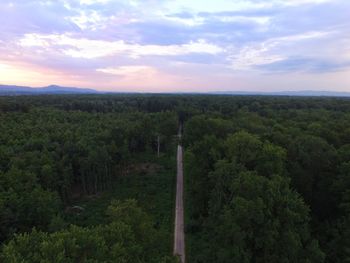Trees on landscape against sky