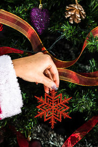 Midsection of person holding christmas tree