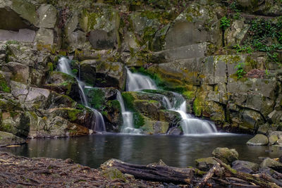 Scenic view of waterfall in forest