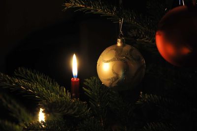 Illuminated christmas tree at night