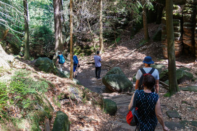 Rear view of people walking on rocks in forest