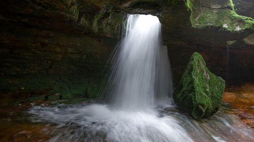 Scenic view of waterfall in forest