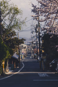 Street amidst trees and buildings in city against sky