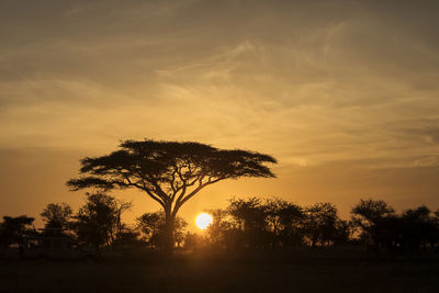 Silhouette trees on field against sky during sunset