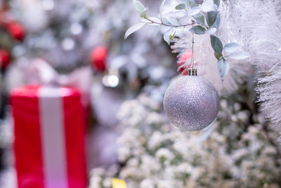 Close-up of christmas decoration hanging on tree