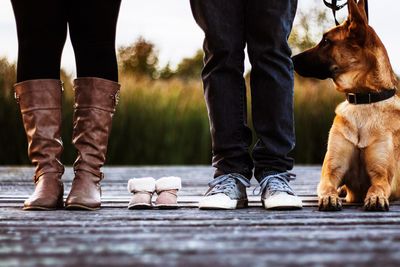 Low section of family with baby shoes and dog