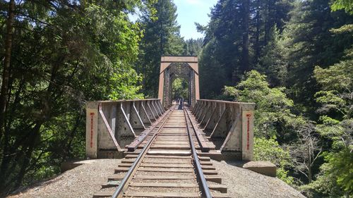 Footbridge amidst trees in forest against sky