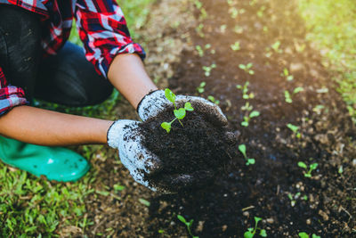 Midsection of person holding plant