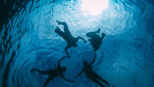 Low angle view of silhouette people swimming in sea