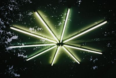 Low angle view of illuminated tree at night