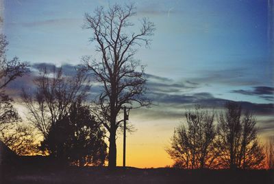 Silhouette of bare trees against sky at sunset