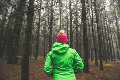Rear view of man standing by tree in forest