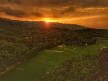 Scenic view of field against sky during sunset