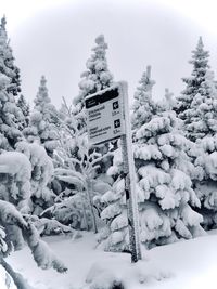 Text on snow covered tree against sky