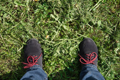 Low section of person standing on field