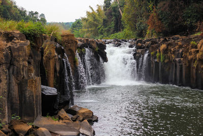 Scenic view of waterfall in forest